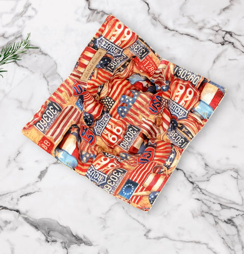 Route 66 Vintage Flags Bowl Cozy